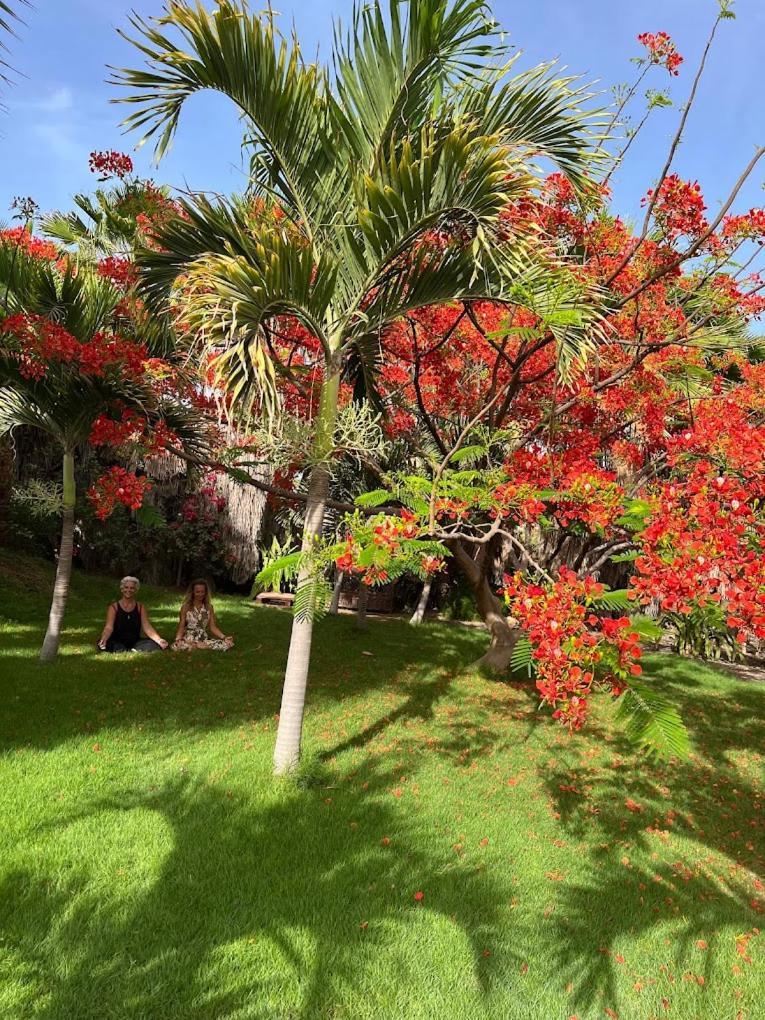 Blue Eagle Guesthouse - Casa De Hospedes ซังตามาเรีย ภายนอก รูปภาพ
